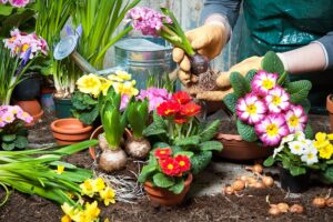 Twenty (20) Springtime Stress Busting Activities for Caregivers During the Pandemic