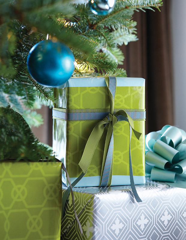 The Six (6) Great Holiday Gift Ideas for Caregivers